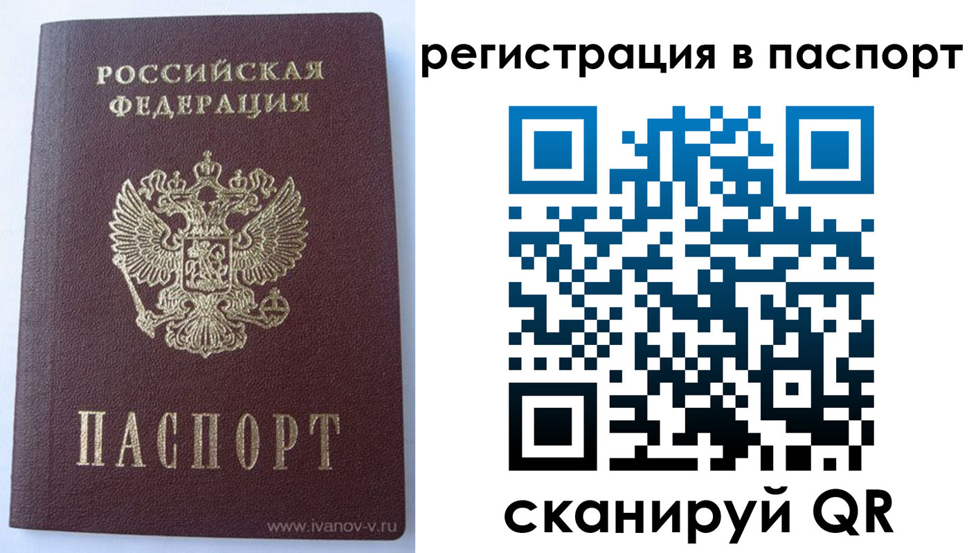 прописка поиск в Чкаловске